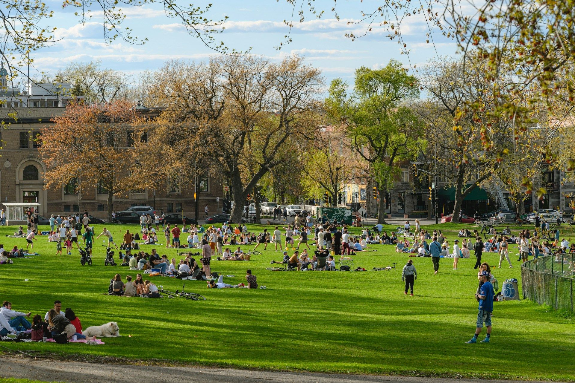 Що зробити цієї весни - фото 1