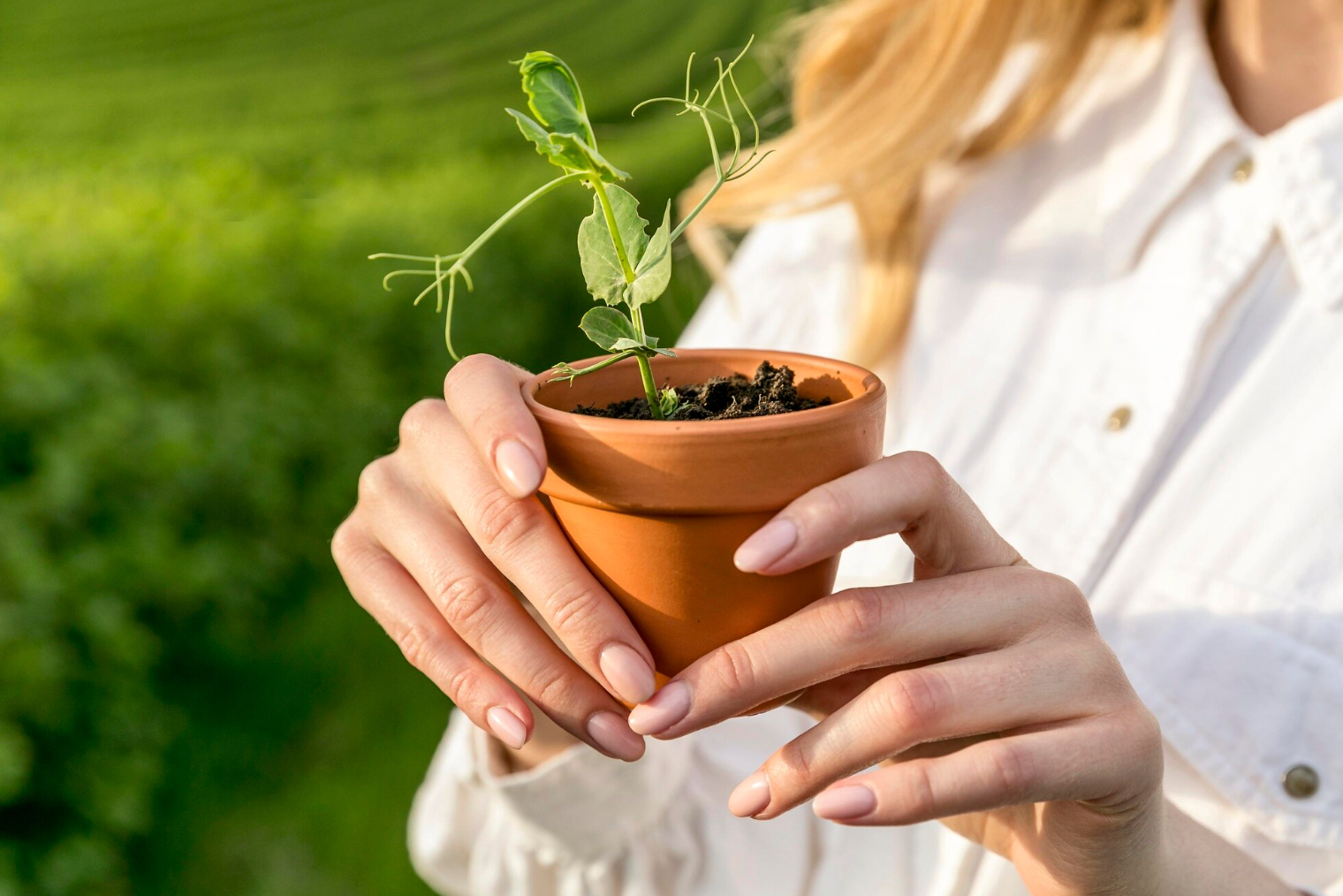 Посівний календар на березень 2026 року - фото 1