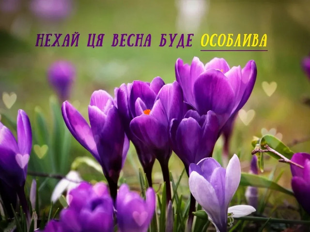 Весна прийшла: добірка красивих привітань з Першим днем весни у картинках і прозі - фото 600240