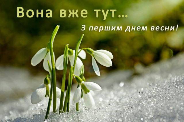 Як красиво привітати з Першим днем весни: підбірка картинок і коротких поздоровлень - фото 600254