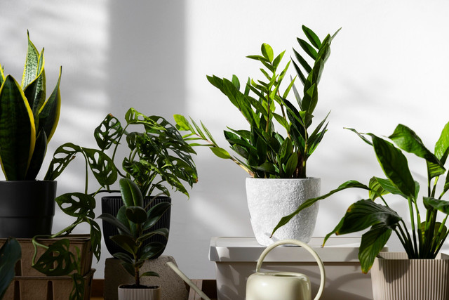 Яке свято відзначають 7 березня: традиції, заборони і прикмети на цей день - фото 602087