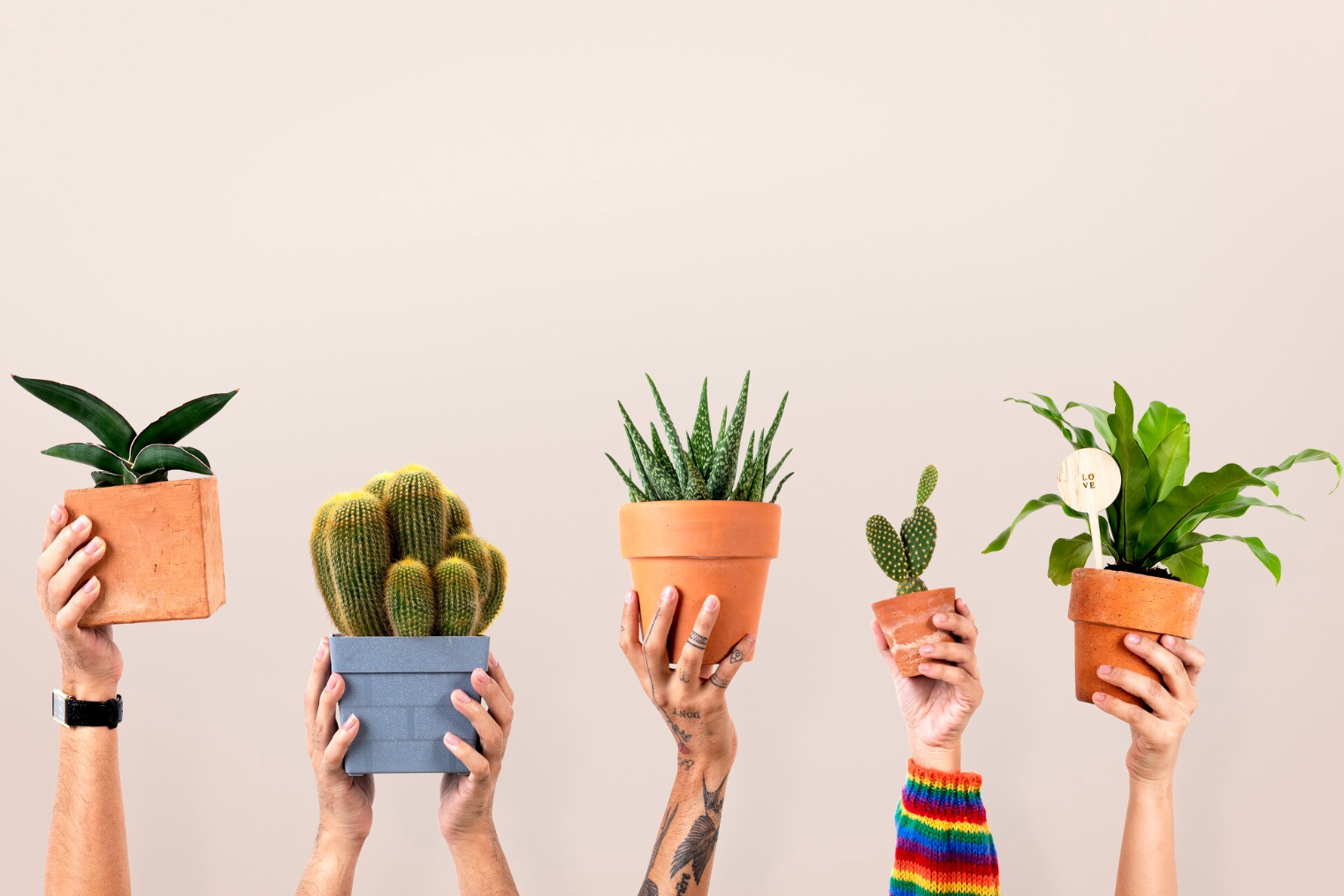 Яке свято відзначають 7 березня: традиції, заборони і прикмети на цей день