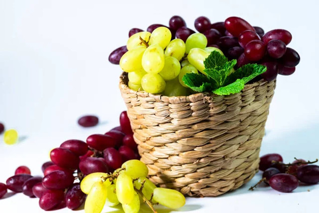 Чому не варто годувати собаку сирим м’ясом: ветеринари назвали головні ризики для тварини - фото 602156