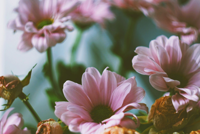 Міжнародний жіночий день 8 березня- фото 602171