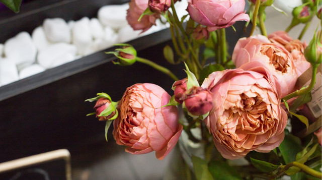 Півонії - фото 602191