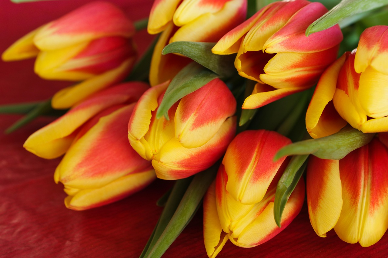 Які квіти дарують на 8 березня - фото 1