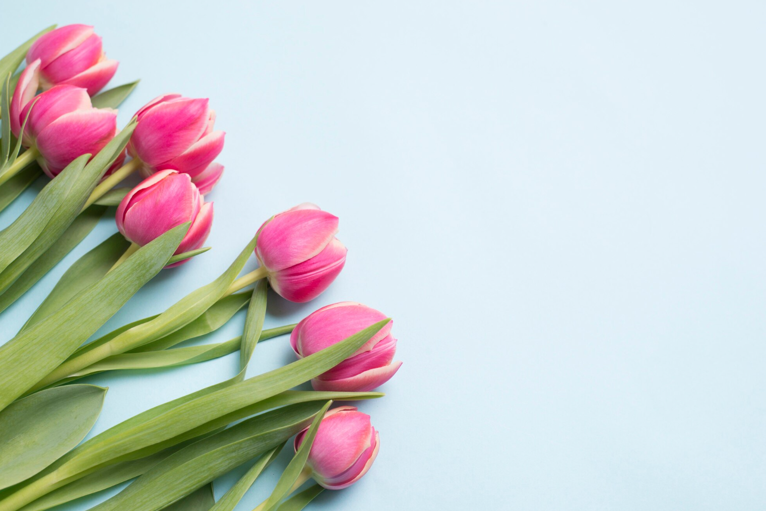 8 березня – Міжнародний жіночий день - фото 1