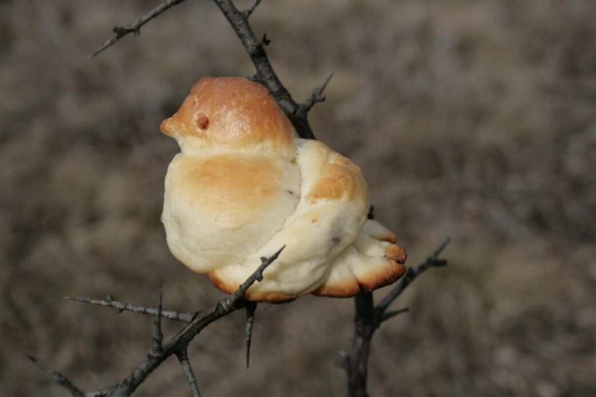 Нехай твоє життя буде сповнене 40 дивами – привітання до дня мучеників Севастійських