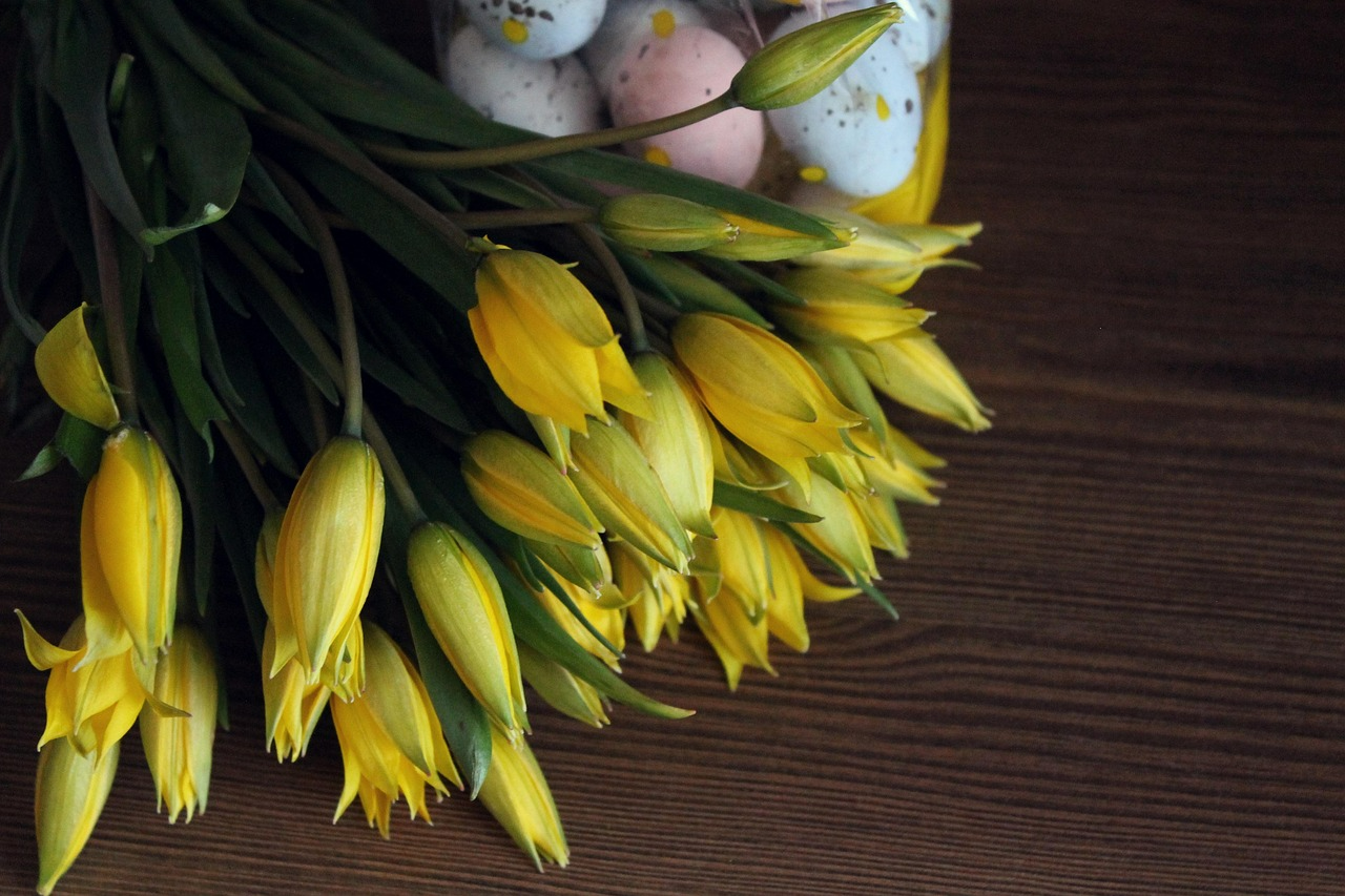 Як продовжити життя тюльпанів у вазі - фото 1