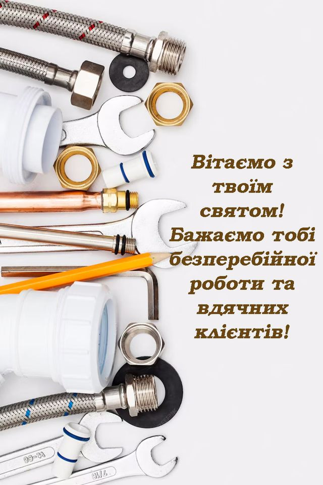 Міжнародний день сантехніка 11 березня - фото 603130