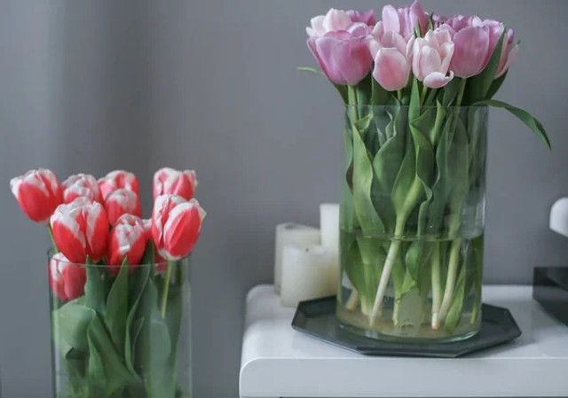 Тюльпани стоятимуть у вазі значно довше: флористи назвали прості правила догляду - фото 603277