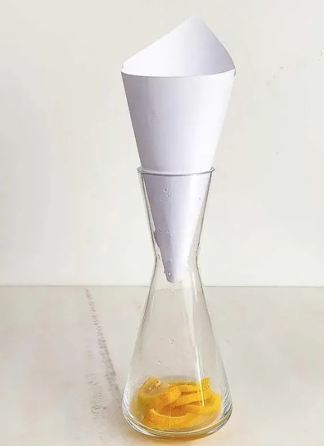 Плодові мушки зникнуть за день: прості лайфхаки, які допоможуть швидко позбутися дрозофіл - фото 603814