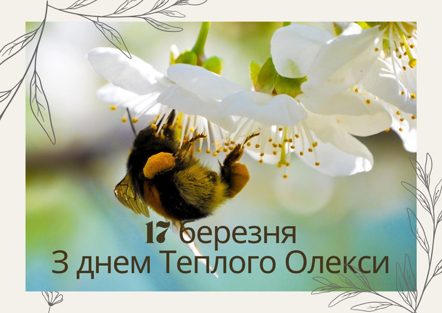 Не позичайте гроші і не сваріться: головні заборони Теплого Олекси 17 березня - фото 604073