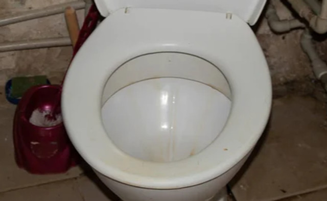 1 дешевий спосіб очистити унітаз від нальоту: знадобляться лише сода та лимонна кислота - фото 604642