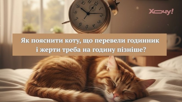 Меми про переведення часу- фото 606385