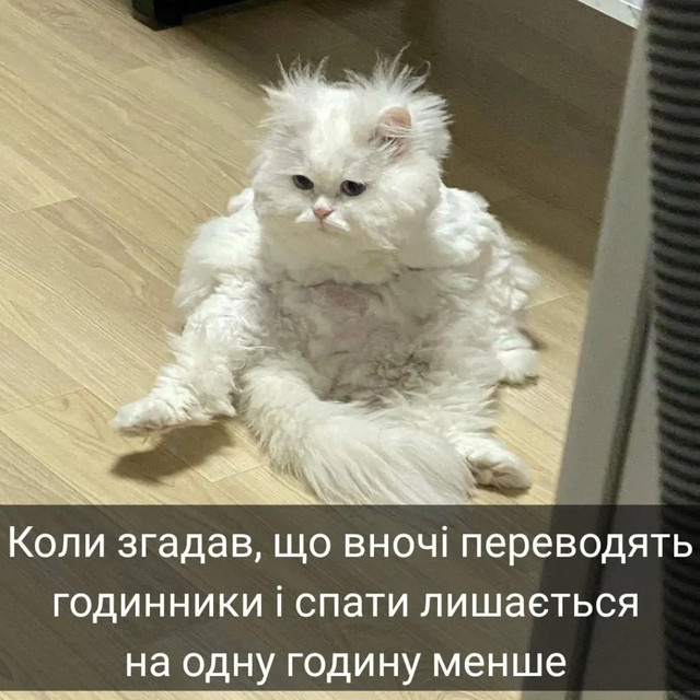 Меми про переведення часу- фото 606391