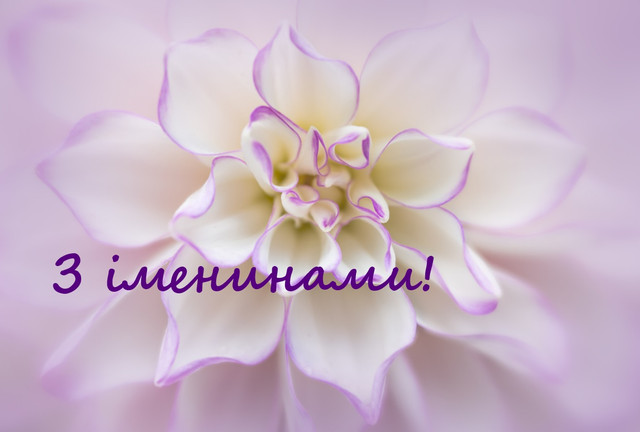 Іменини Юлії 2026: красиві привітання у картинках і прозі, які справді чіпляють за душу - фото 606856