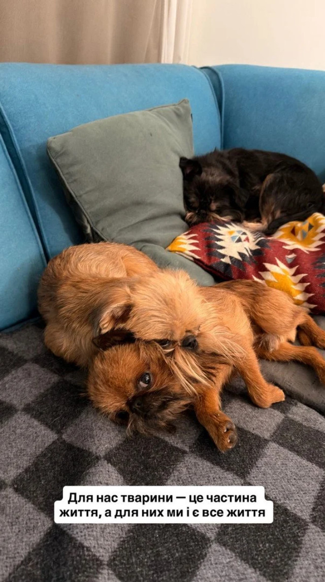 'Мій перший і особливий': Ектор Хіменес-Браво розповів про втрату в родині - фото 608356