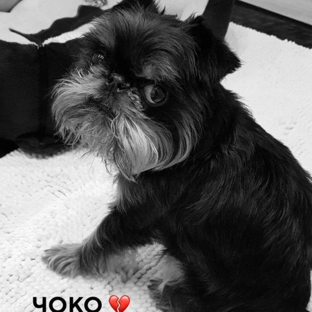 'Мій перший і особливий': Ектор Хіменес-Браво розповів про втрату в родині - фото 608357