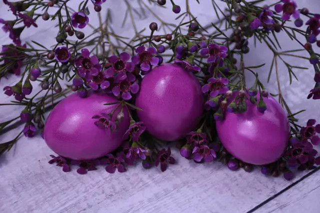 Як пофарбувати яйця у бузковий колір: простий натуральний спосіб без хімії - фото 608749