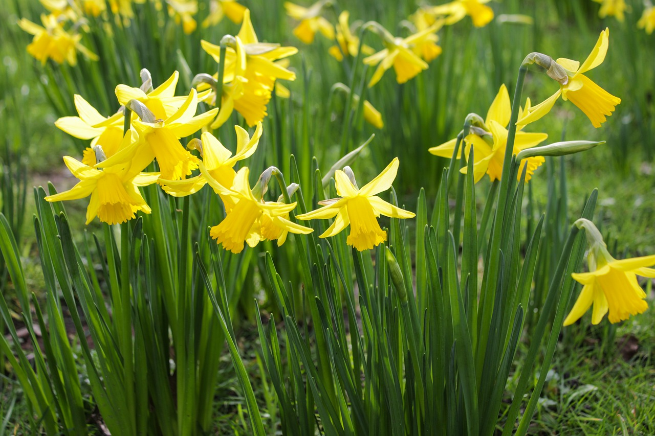 Благовіщення 25 березня - фото 1