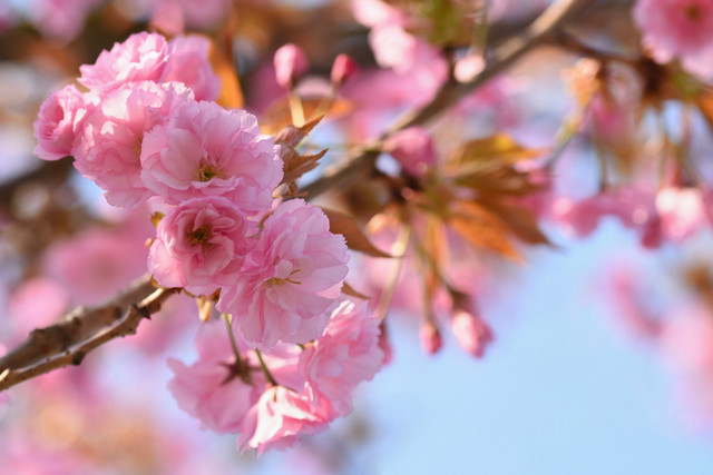 Яке свято відзначають 29 березня: традиції, заборони і прикмети на цей день - фото 610098