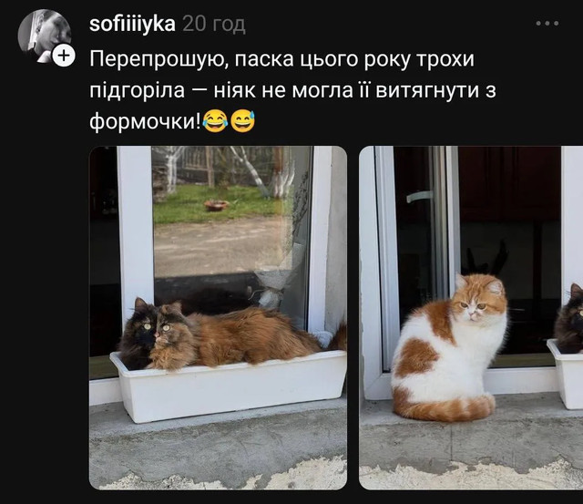 Меми про Великдень 2026 - фото 610159