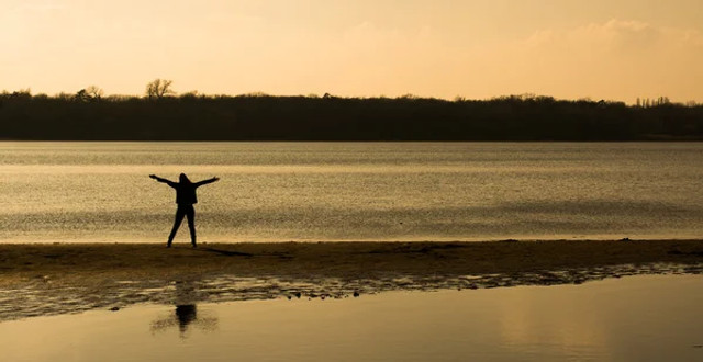 3 причини, чому люди з високим інтелектом обожнюють самотність: перевірте себе - фото 610177