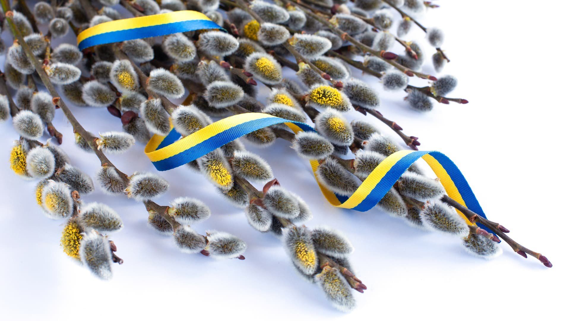 Вербна неділя 2026 - фото 1