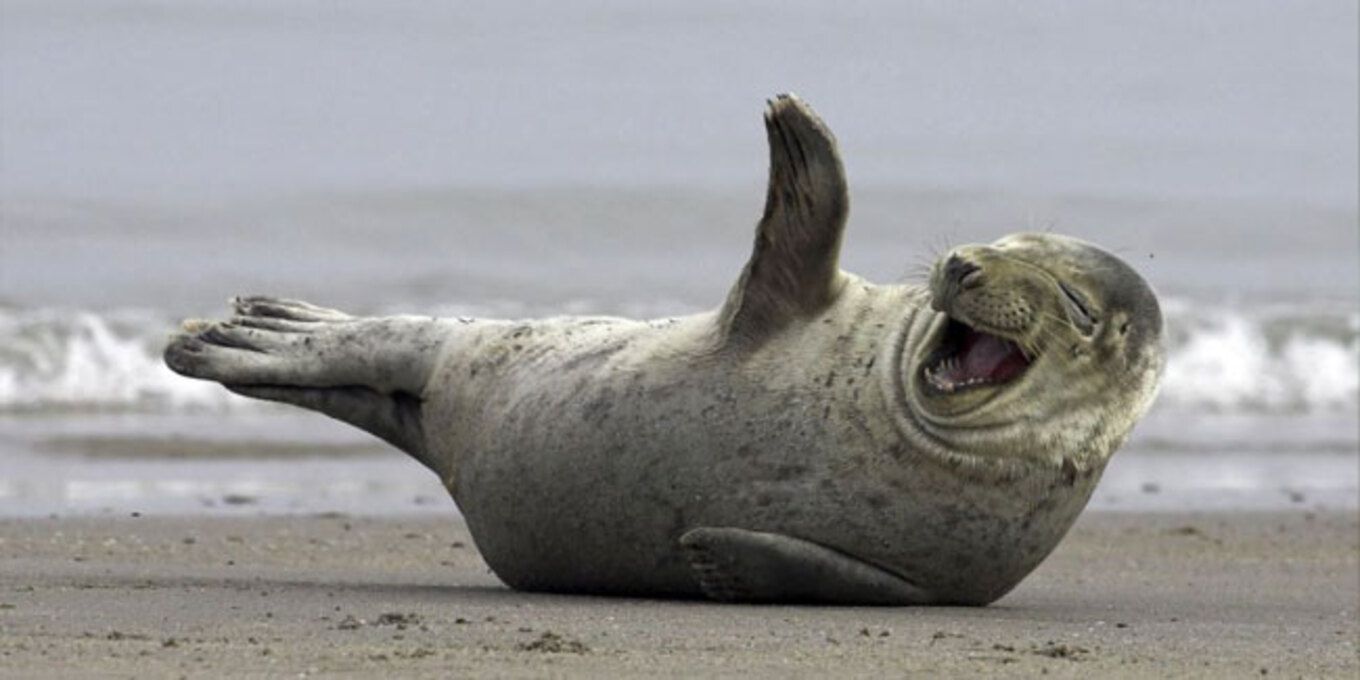 День сміху 1 квітня - фото 1