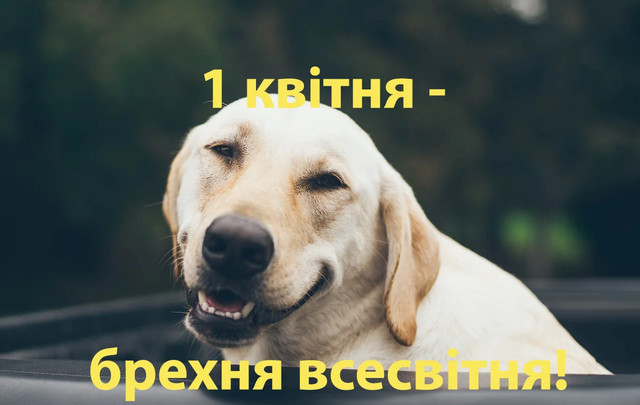 Меми до Дня сміху 1 квітня- фото 610401