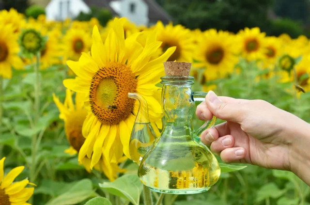 Небезпечні продукти для печінки: лікарі назвали звичну їжу, яка провокує запалення - фото 610427