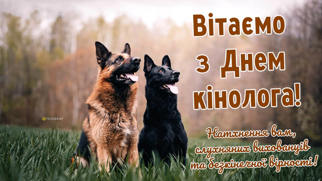 День кінолога України 2 квітня - фото 610429