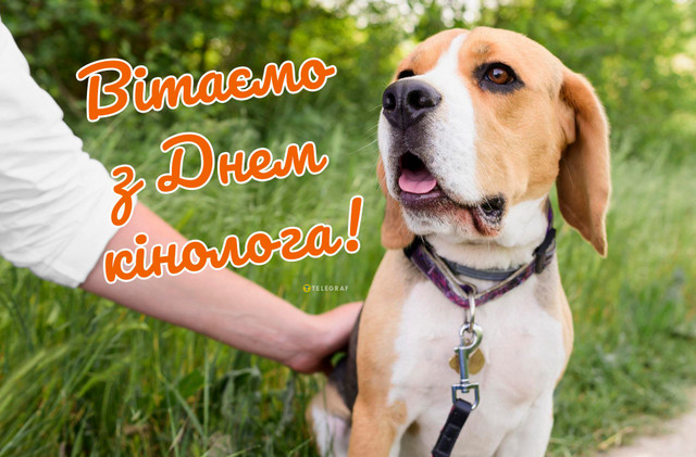 День кінолога України 2 квітня - фото 610430