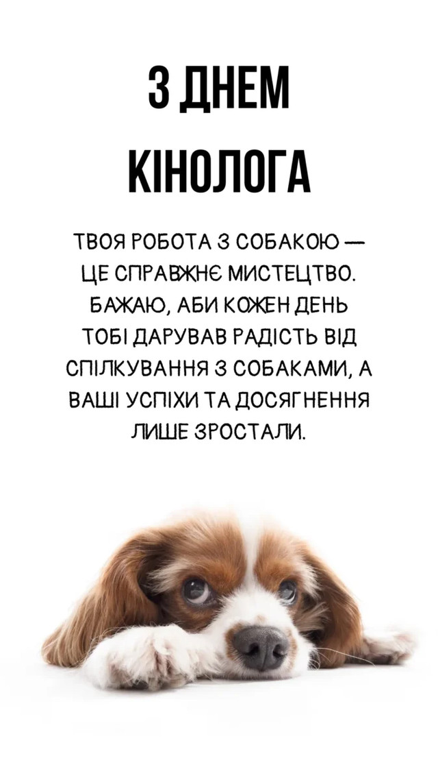День кінолога України 2 квітня - фото 610433