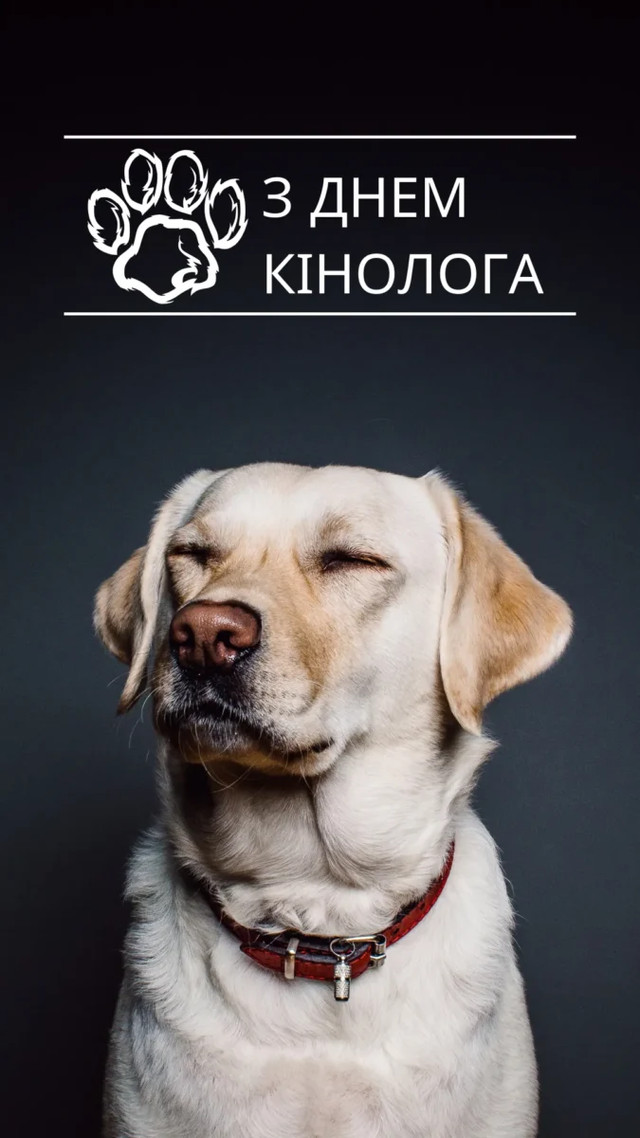 День кінолога України 2 квітня - фото 610434