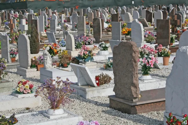 Які квіти не варто садити на цвинтарі: список рослин, що зіпсують вигляд могили - фото 610463