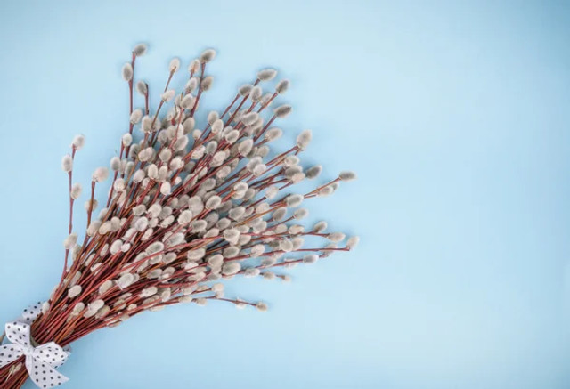 Навіщо б’ють вербою на Вербну неділю: давній обряд, який обіцяє здоров’я на весь рік - фото 610746