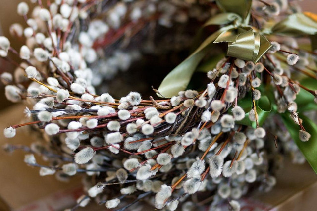 Вербна неділя 5 квітня- фото 610792