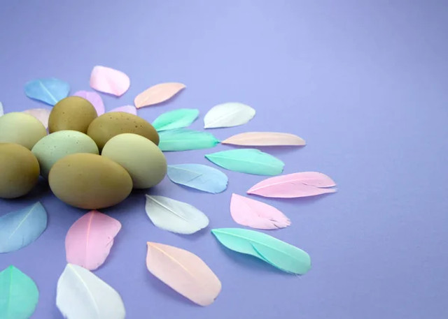 Оливкові яйця на Великдень: як пофарбувати яйця натурально і без хімії - фото 610988