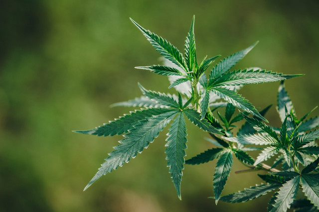 Яке свято відзначають 21 квітня: традиції, заборони і прикмети на цей день - фото 612221