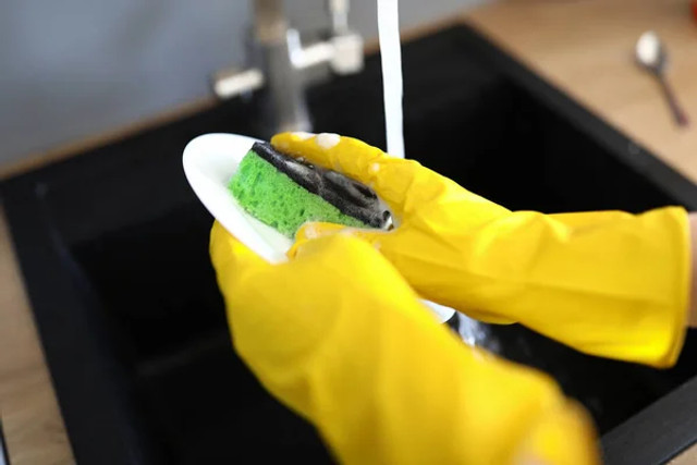 Губка для посуду накопичує мільярди бактерій: як часто її потрібно міняти - фото 613212