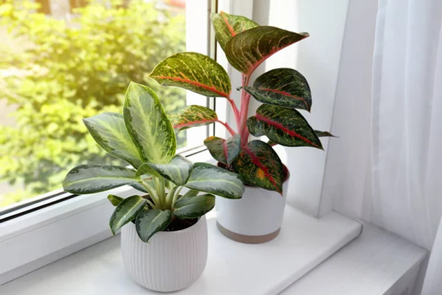 8 простих деталей, які зроблять оселю затишнішою: як створити вдома атмосферу тепла - фото 613225