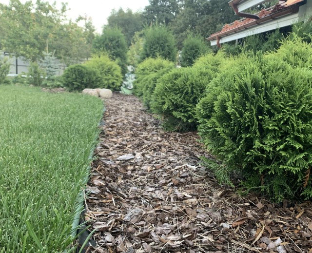 Бордюрна стрічка в ландшафті: як навести лад без важких конструкцій - фото 613318