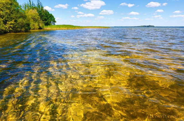 5 цікавих місць України, які варто відвідати саме влітку - фото 617487