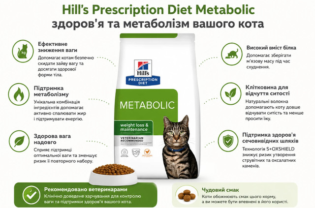 Корм для котів Hill’s: як обрати раціон для муркотуна - фото 648233