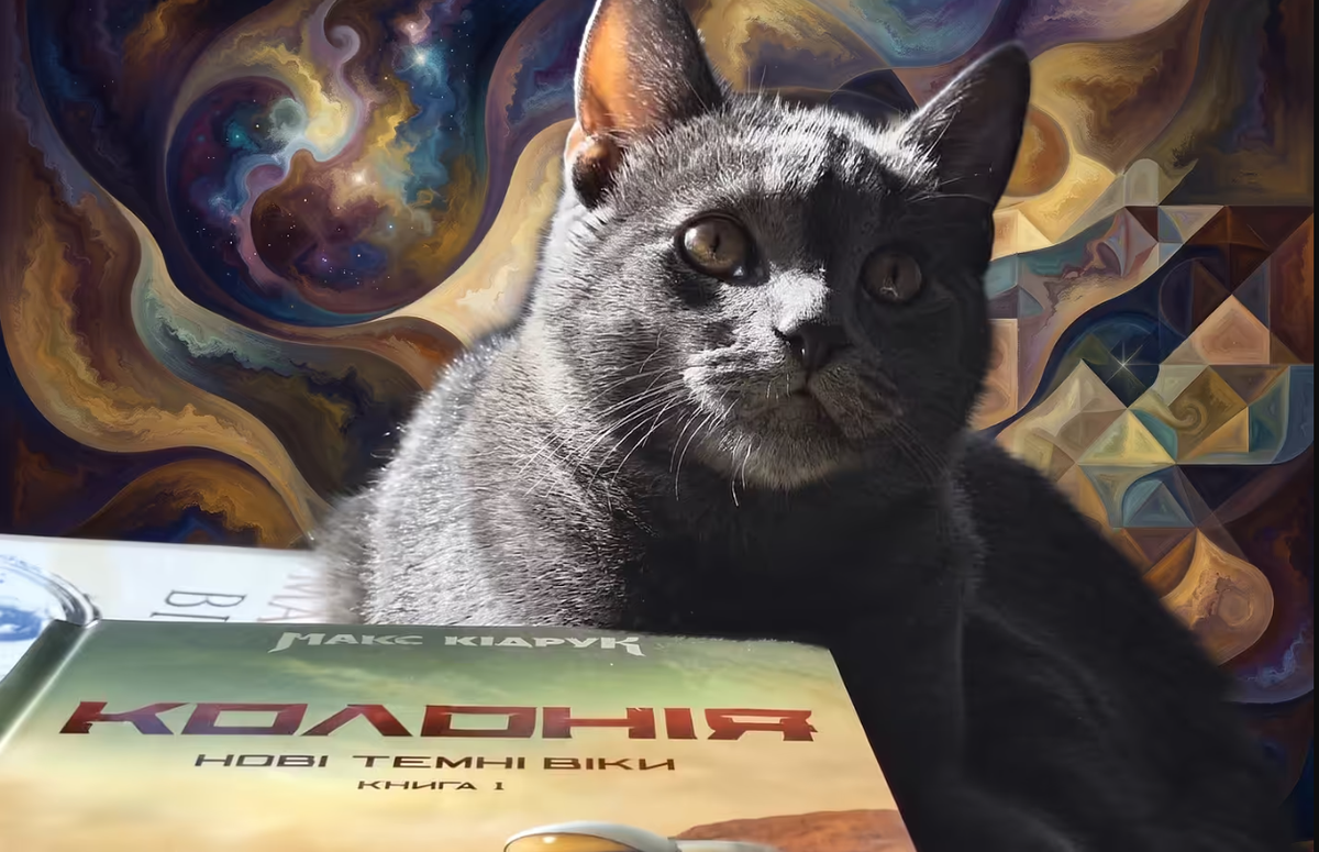 Платформа tseivo створила каталог видавництв і книгарень для підтримки української книжки - фото 1