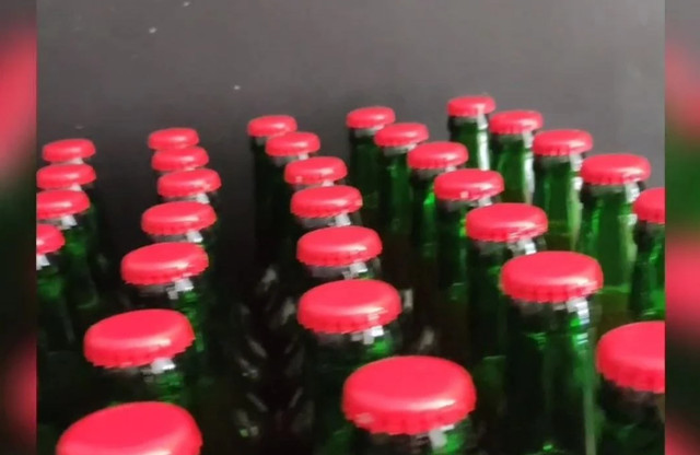 GODZYKI Kombucha: історія народження сміливого ящера з Дніпра - фото 663776